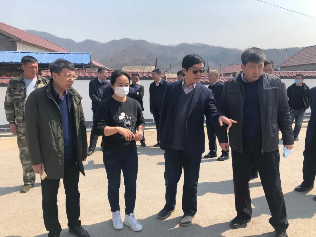 北方地区农村人居环境整治无底洞,人居环境整治垃圾坑如何处理