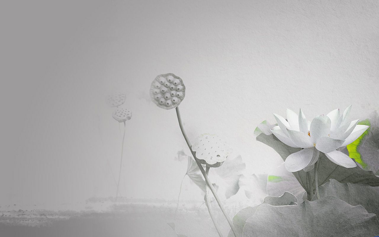 增广贤文全文及释义值得收藏,增广贤文白话文全文朗读释义