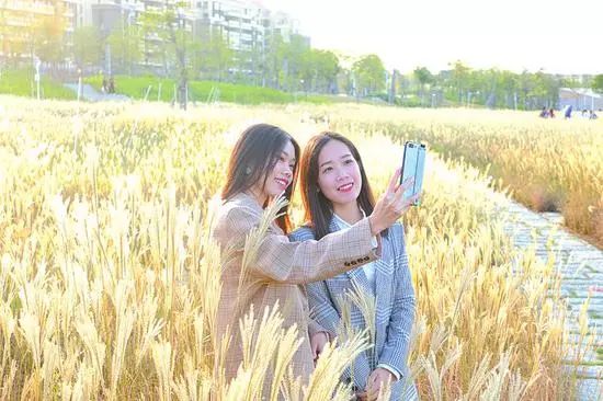 自拍达人全景,南宁自拍拍照博主