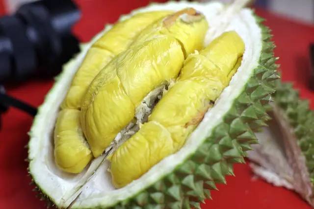 马来西亚旅游免签吗现在,马来西亚免签过关攻略