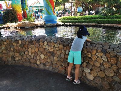 长隆度假区真实测评,长隆测试