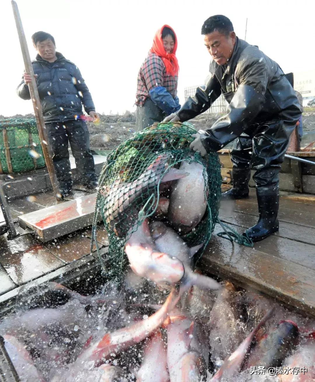 姜堰好吃又好玩的地方,56张美景图片大饱眼福