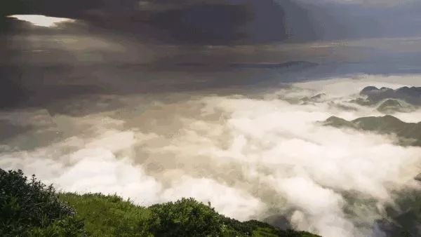 深圳到普陀山自驾游攻略最佳路线,2020普陀山奇异景象