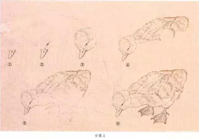 苏百钧工笔国画教学视频,苏百钧花鸟白描画稿