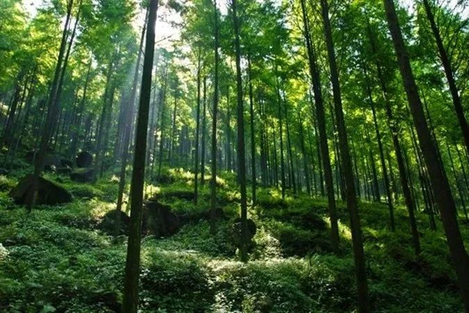 成都国色天香好耍的园区,成都附近水上城市