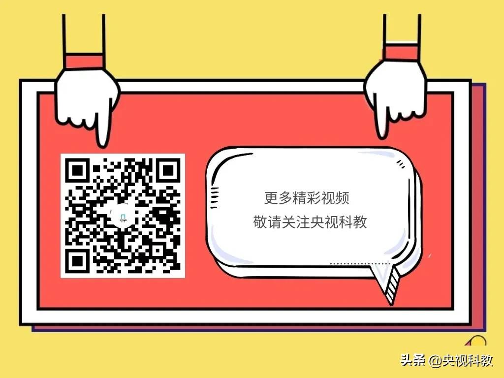 儿童养肾最佳方法,儿童怎么养肾最好