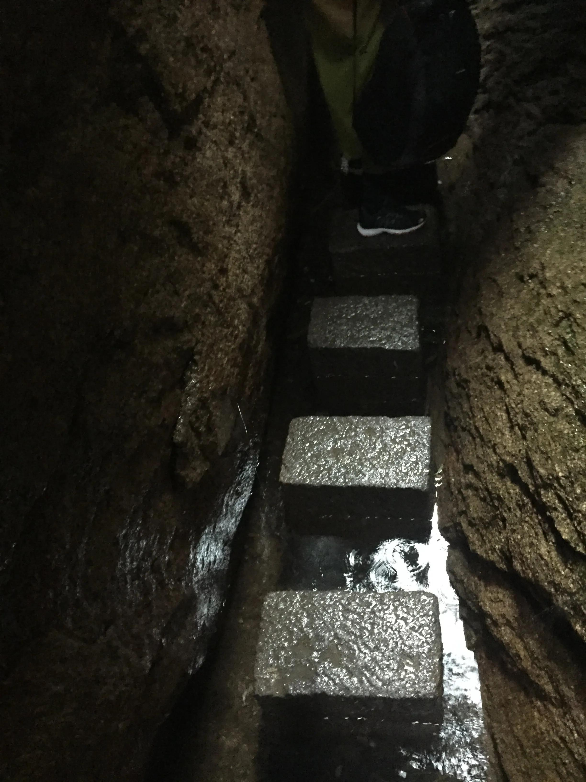 太姥山是国家5a级景区,太姥山景区5a