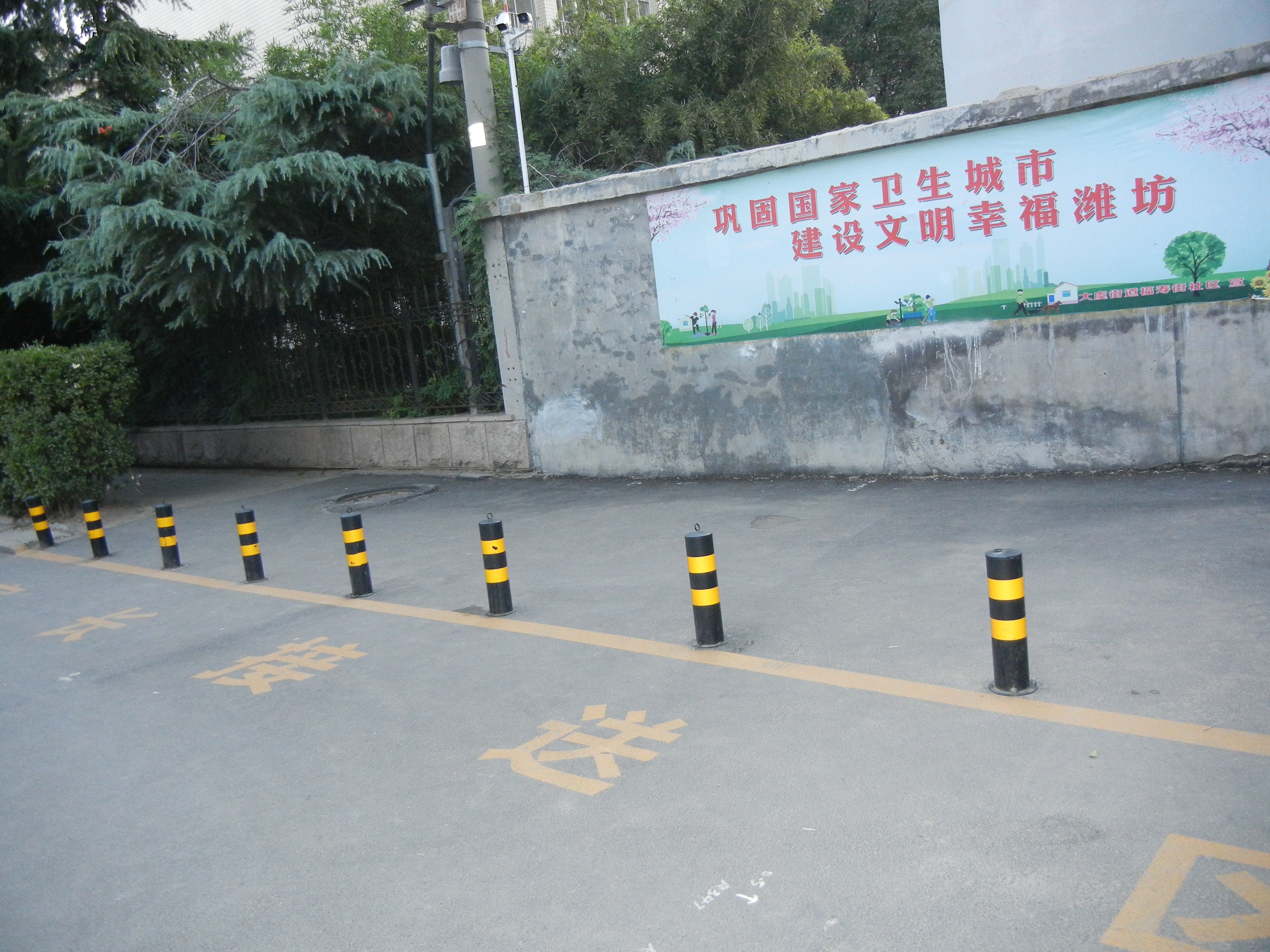 潍坊中新双语学校排名,潍坊中新双语小学排名