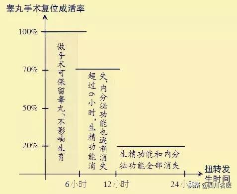 儿子睾丸受伤腹部疼,儿子蛋蛋有点疼会自愈吗