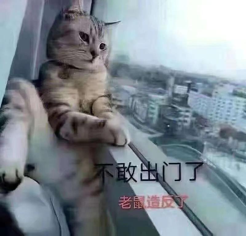 2019ncov,2019-ncov什么时候出现的