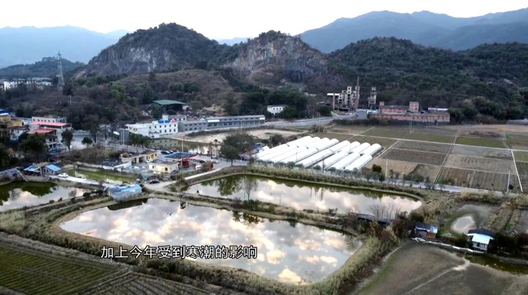 安义县黄洲镇马蹄之乡,贵港马蹄之乡是哪里的景点