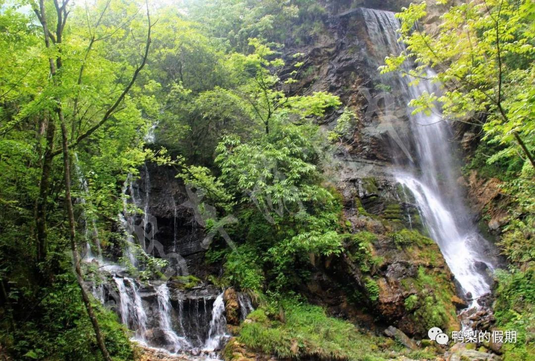 自驾车游遍中国之（一）——世界那么大，我想去神农架