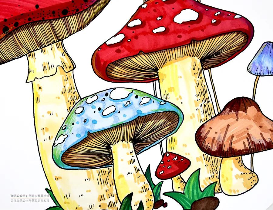 儿童画画教学简单3-5岁水彩笔蘑菇,小蘑菇水彩笔