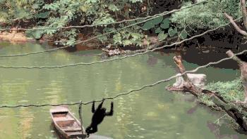 广州长隆游玩攻略水上乐园怎么去,过年去珠海长隆海洋王国游玩攻略