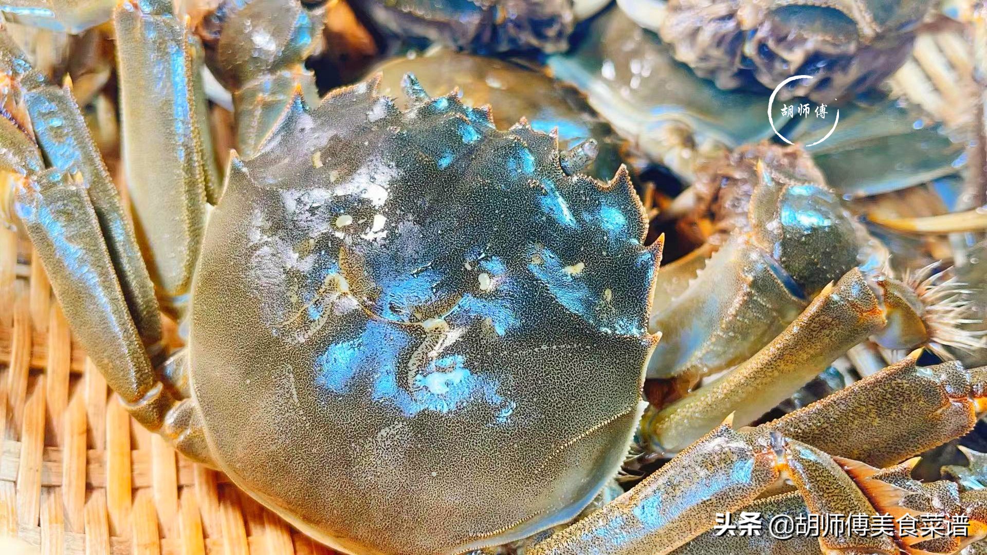 买螃蟹挑选什么样的最好,怎么挑选螃蟹青壳