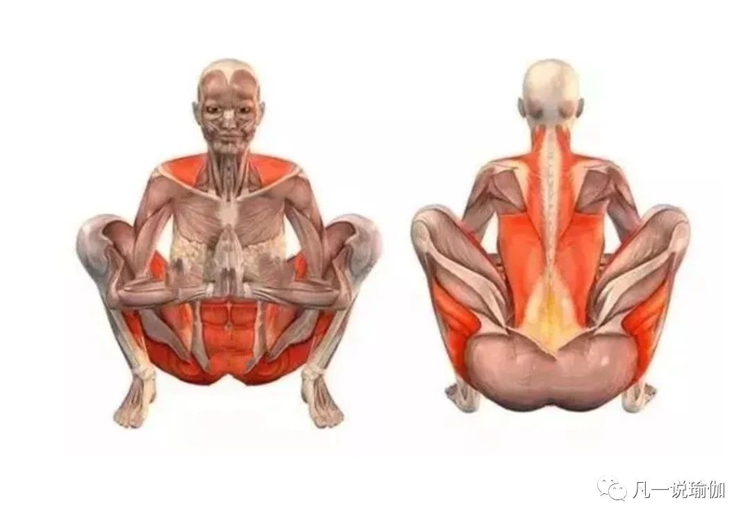 瑜伽单腿站立体式不稳什么原因,瑜伽蹲的正确练习方法