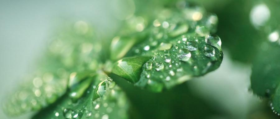 改善皮肤过敏和干燥的护肤品,敏感肌肤干燥偏方大全