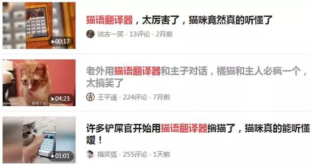 铲屎官学猫叫猫咪会有什么反应,猫咪被铲屎官捉弄