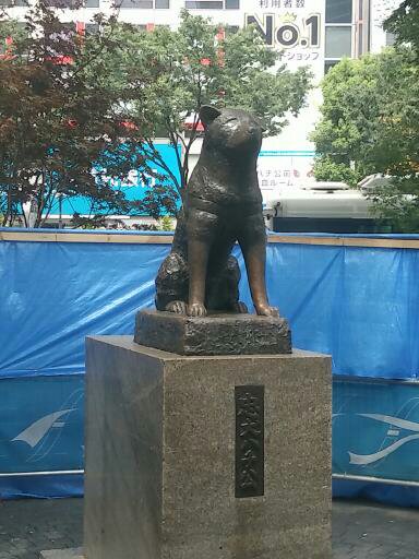 东京池袋到涩谷大巴,东京新宿涩谷池袋地图