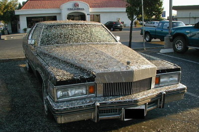 为什么有人喜欢贴车膜,为什么那么多人喜欢贴膜