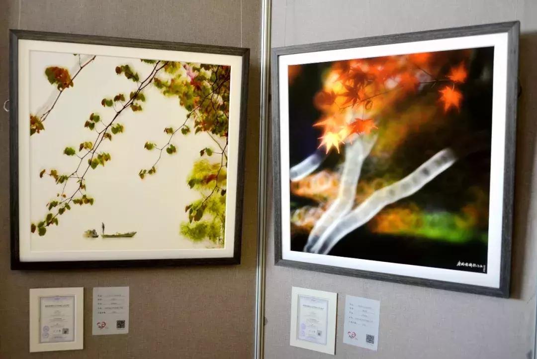 早春三月,金鹰湖畔,“爱的奉献”,与你相约......