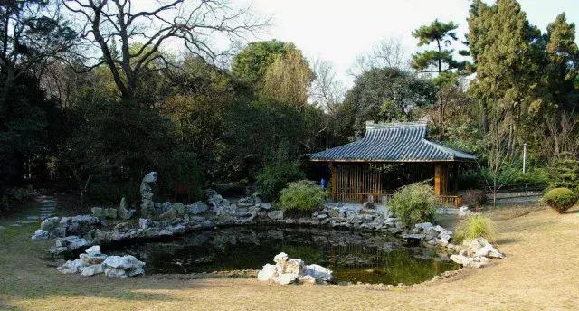 大局已定创业路何去何从,杨浦区的发展趋势