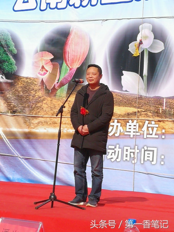 2020年云南兰花展获奖图片,2018年昆明兰花展精品图片