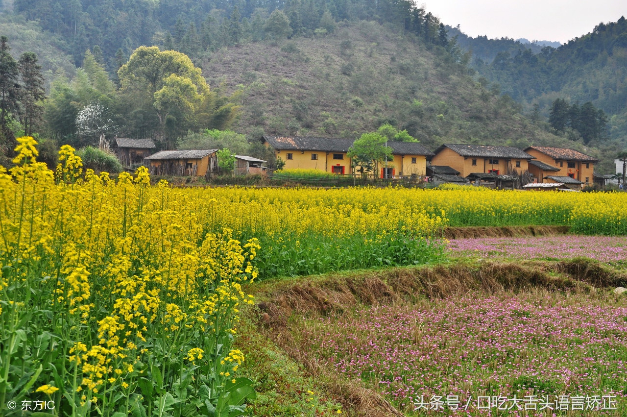 大舌头绕口令练习,绕口令锻炼唇舌力度纠正错误发音