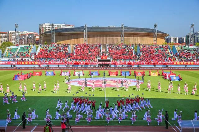 迪滴新能源汽车科技有限公司青岛,迪滴新能源官网