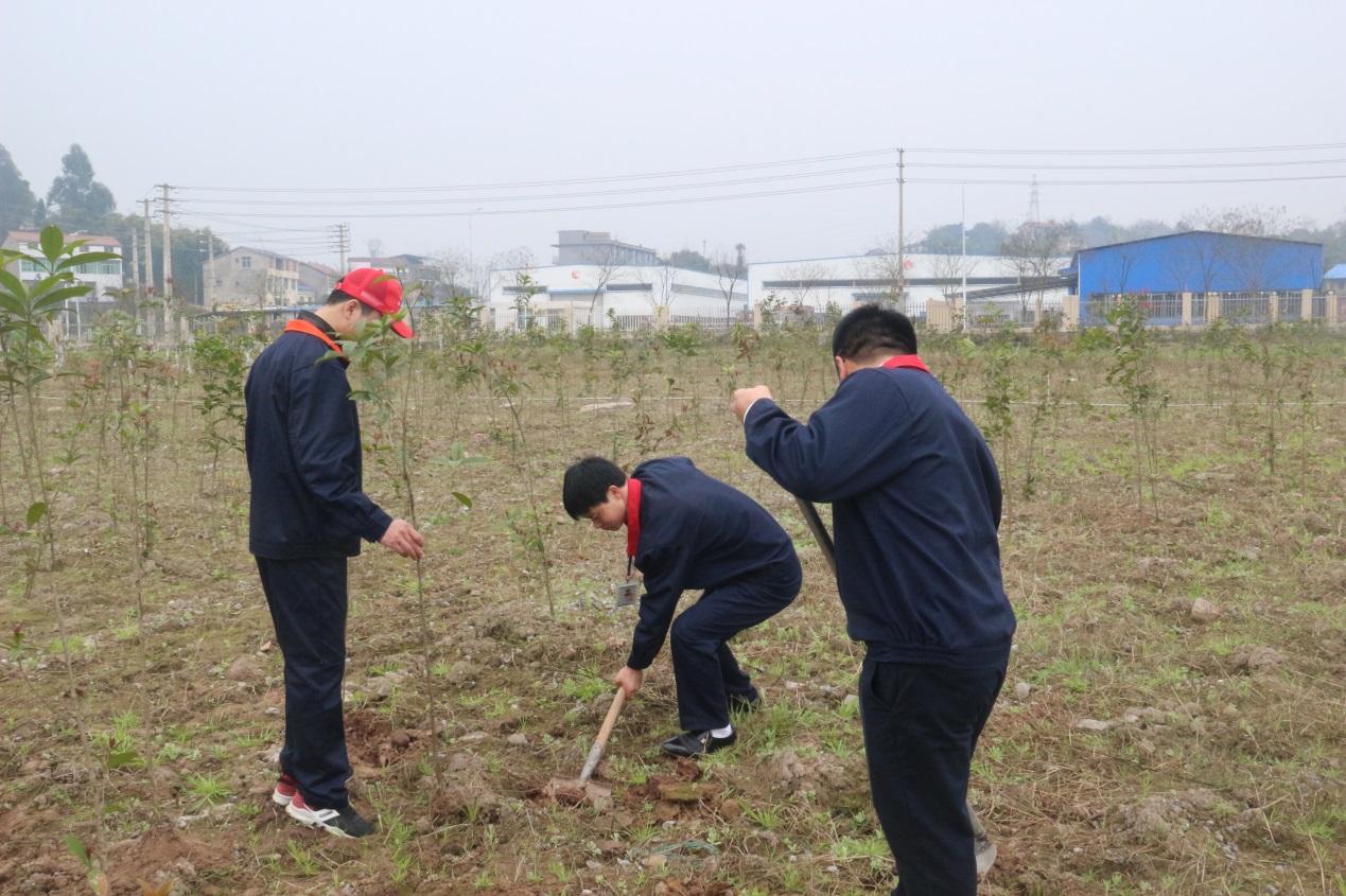 华金润,华金润集团信息技术产业园