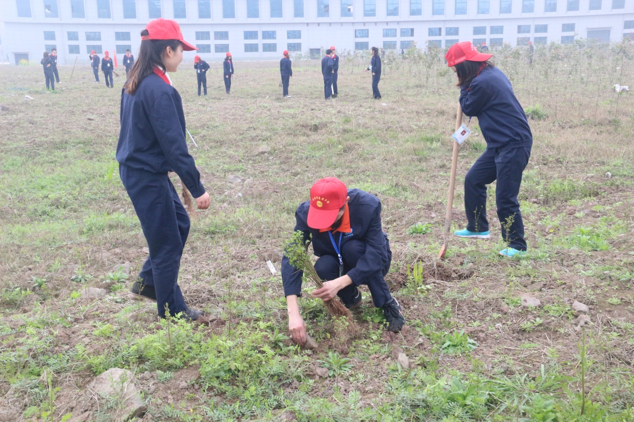 华金润,华金润集团信息技术产业园