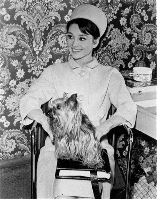 纪梵希哪年离世的,纪梵希死亡色号