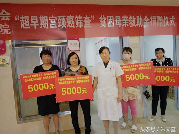 群雁高飞头雁领什么意思,群雁高飞