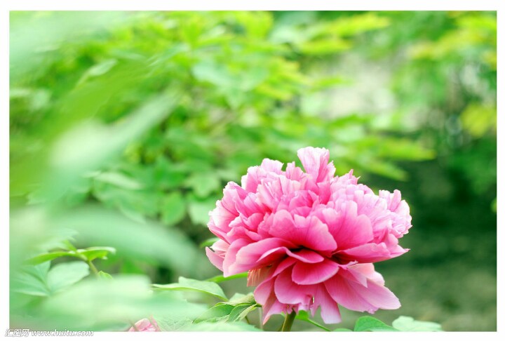 今天29，打开就能幸福久久！幸福相册！请收下给你的祝福哦