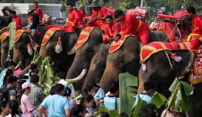 娉板浗鑺傛棩澶ц薄,娉板浗璞$鍦颁綅