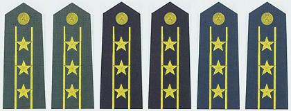 中国军衔和军官资历大全,中国的军官军衔等级