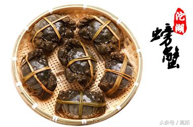 蚌埠日报的版面,蚌埠日报