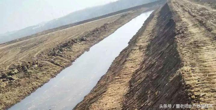 淡水小龙虾池塘如何建设,精养小龙虾早期池塘维护