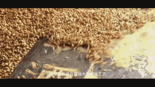 贵州匠心酿造酱香酒,贵州茅台镇匠人之酿