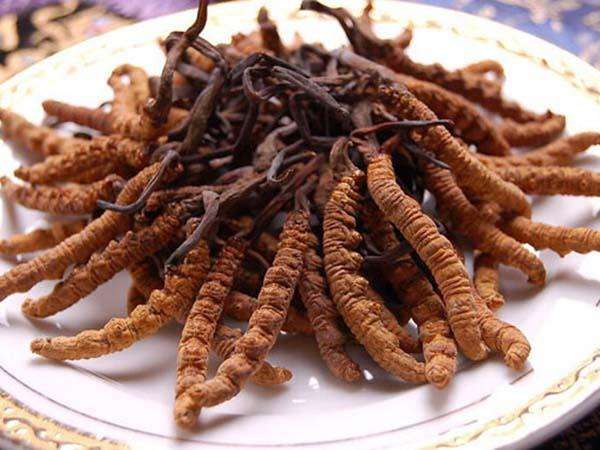 新货虫草正宗西藏那曲冬虫夏草,西藏那曲冬虫夏草好不好