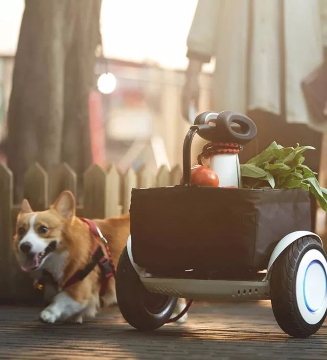 白色情人节礼物你选好了么,白色情人节礼物已经准备好了