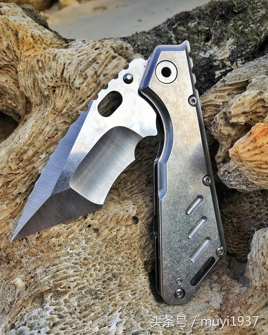 闯荡江湖需要哪些本事,闯荡江湖最重要的是什么