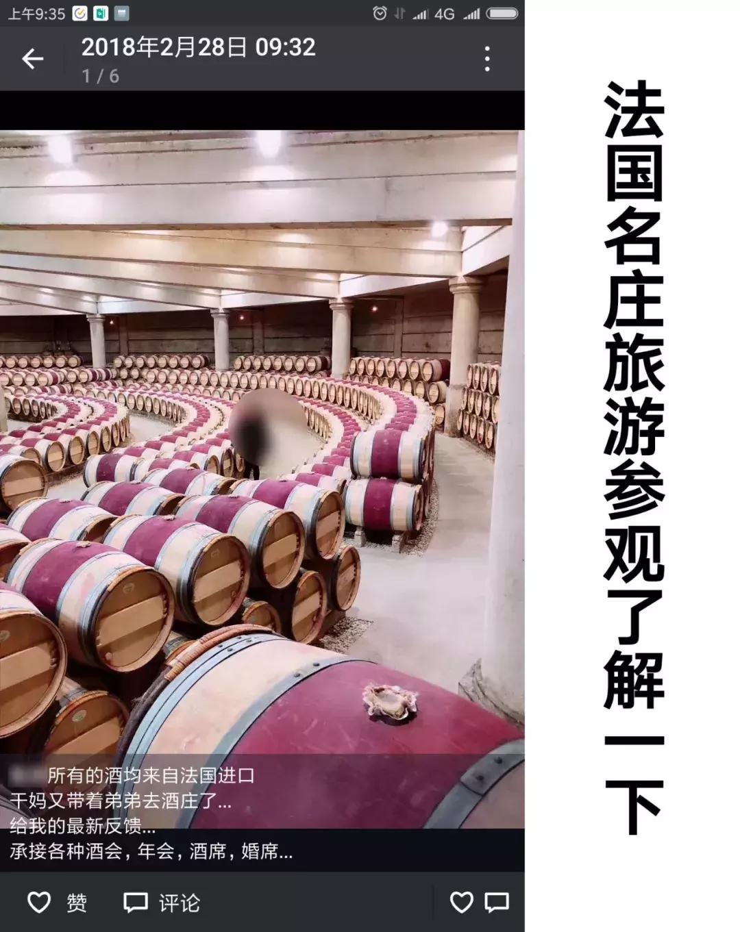 法国埃菲尔铁塔能当葡萄架子吗？|晓玲说酒264期