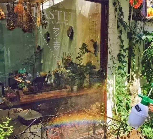 厦门奇怪的花店,厦门比较有名的绿植花店