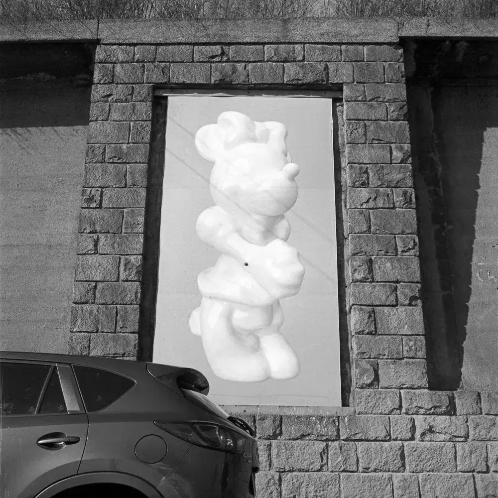 特殊展览品,特殊的物品展览