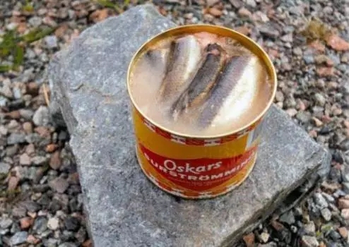 旅行一次性必带用品上飞机,飞机上可以随身携带的东西有哪些