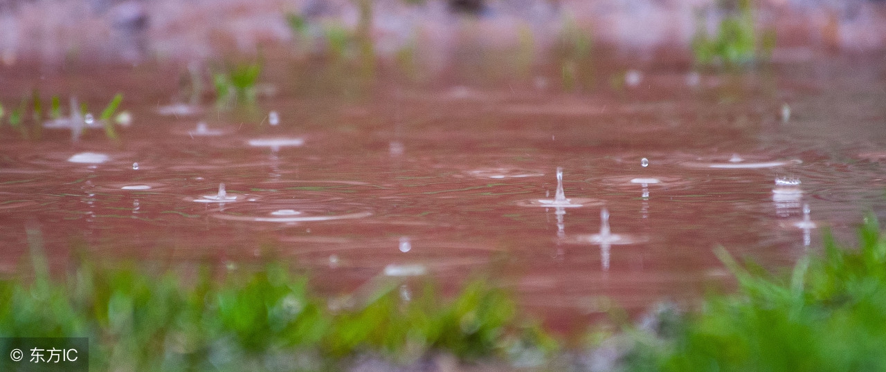 微风弯月牙，白墙简笔画；花有重开时，人无再少年！