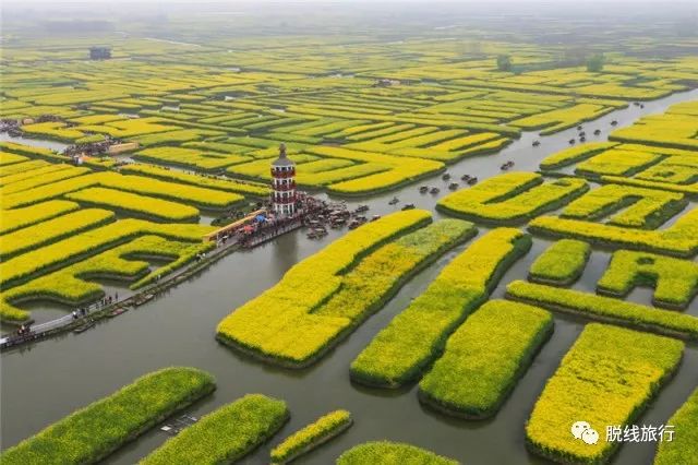 一秒钟搞定“花痴”攻略，别说我没帮你~