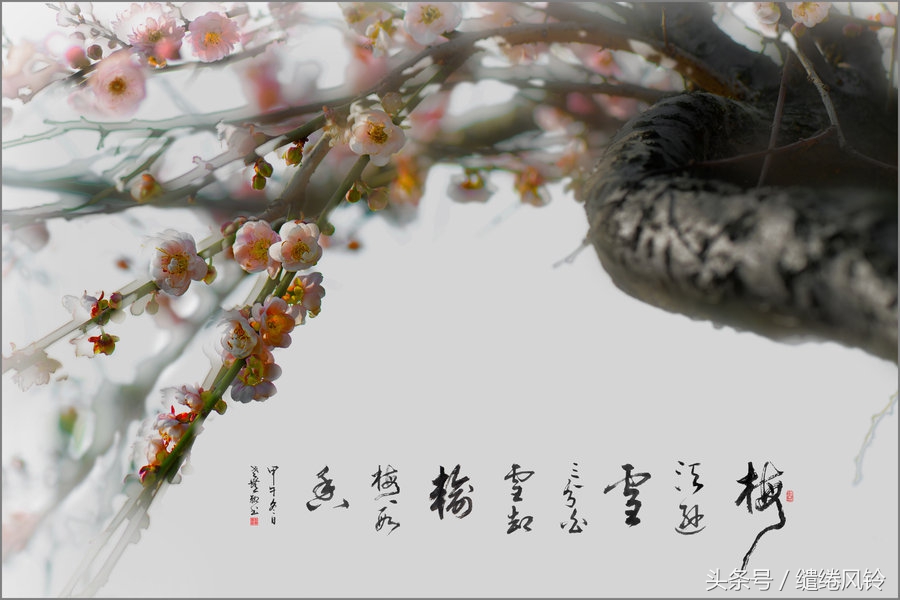 疏影横斜诗,疏影横斜隶书