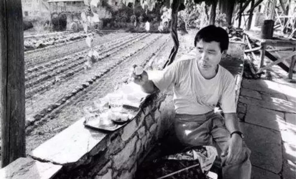 村上春树的成长历程,村上春树新出作品